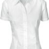 DNC Workwear Ladies Tonal Stripe Shirts - Short Sleeve